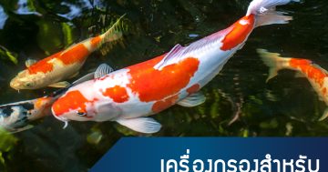 หน้าปก New 09