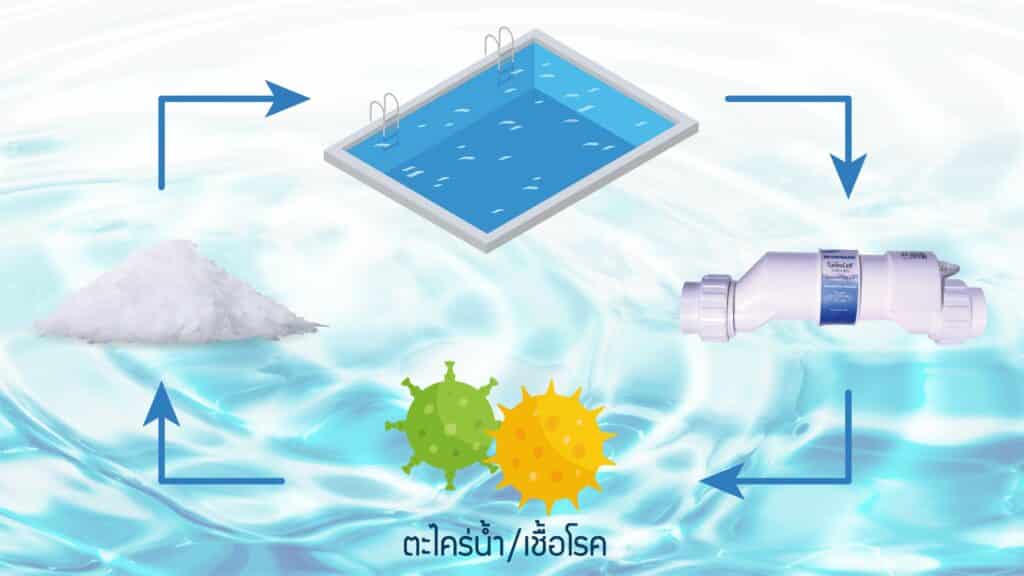 สระว่ายร้ำระบบเกลือคืออะไร 06 1024x576 1