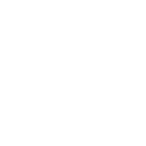 Item 17