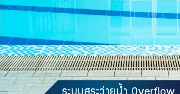 หน้าปก New 25 jpg