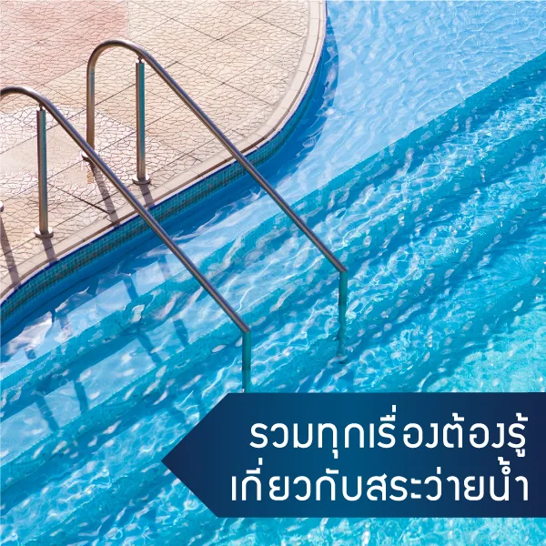 หน้าปก New 26 jpg