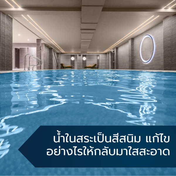 น้ำในสระเป็นสีสนิม แก้ไขอย่างไรให้กลับมาใสสะอาด 2