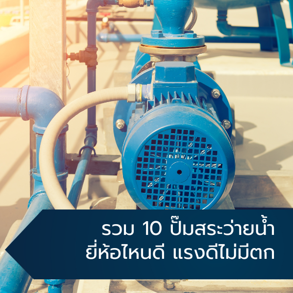 รวม 10 ปั๊มสระว่ายน้ำ ยี่ห้อไหนดี แรงดีไม่มีตก