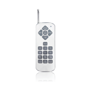 Remote