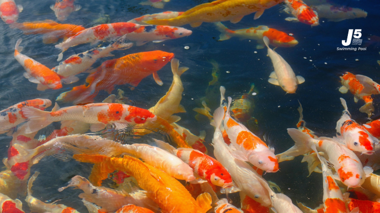 pond filter system guide 01