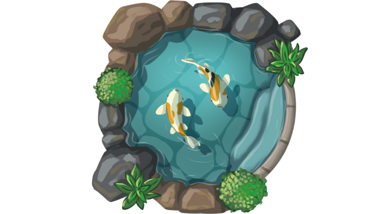 clear fish pond guide 02