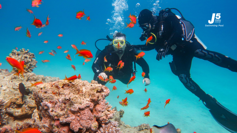 thailand top dive spots